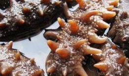 烟台海参爆料视频大全图片,视频大全图片解析行业真相